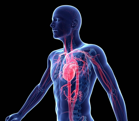 Cardio Clear 7-Benefits