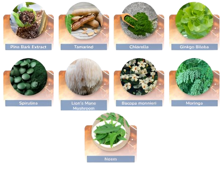 JointVive-Ingredients