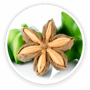 Palmitoyl Pentapeptide-3